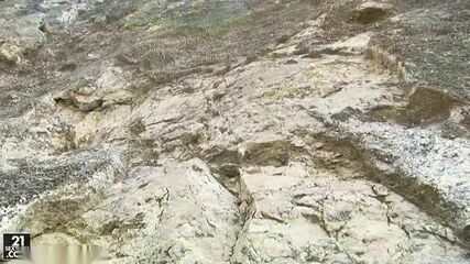 Horny BBW MILF Outdoor Romp