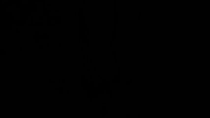 Jurassic POV Pounding